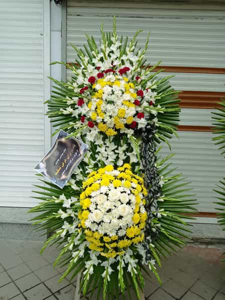 عکس گلفروشی شقایق در قاسمیه اردبیل