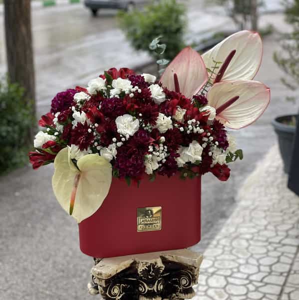 عکس گل آرامیس شعبه والی در ججین اردبیل