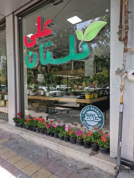 عکس گلستان علی در حافظ اردبیل