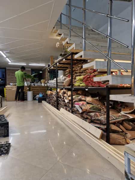 عکس گلستان علی در حافظ اردبیل