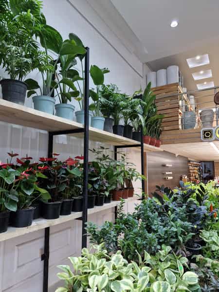 عکس گلستان علی در حافظ اردبیل