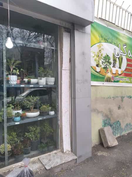 عکس خانه گل نعمتی در سید آباد ۱ اردبیل
