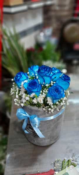 عکس گلفروشی پونه اردبیل در علیه اردبیل