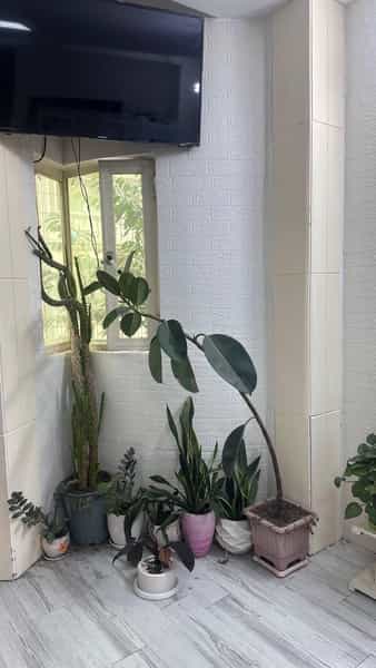 عکس مرکزمشاوره دکترسهیلا باقری در اسپه کلا آمل