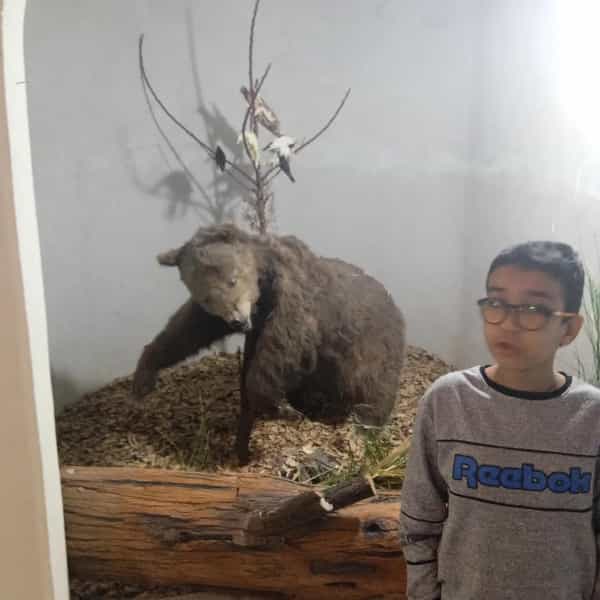 عکس موزه دیرینه شناسی و حیات طبیعی در فردوسی کرمان