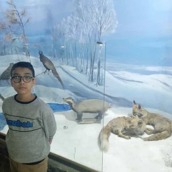 عکس موزه دیرینه شناسی و حیات طبیعی در فردوسی کرمان