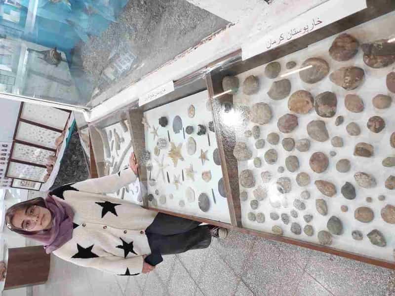 عکس موزه دیرینه شناسی در فردوسی کرمان
