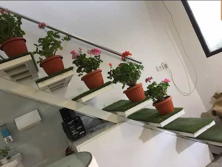 عکس کافی شاپ باریستا در آبنوس کرمان
