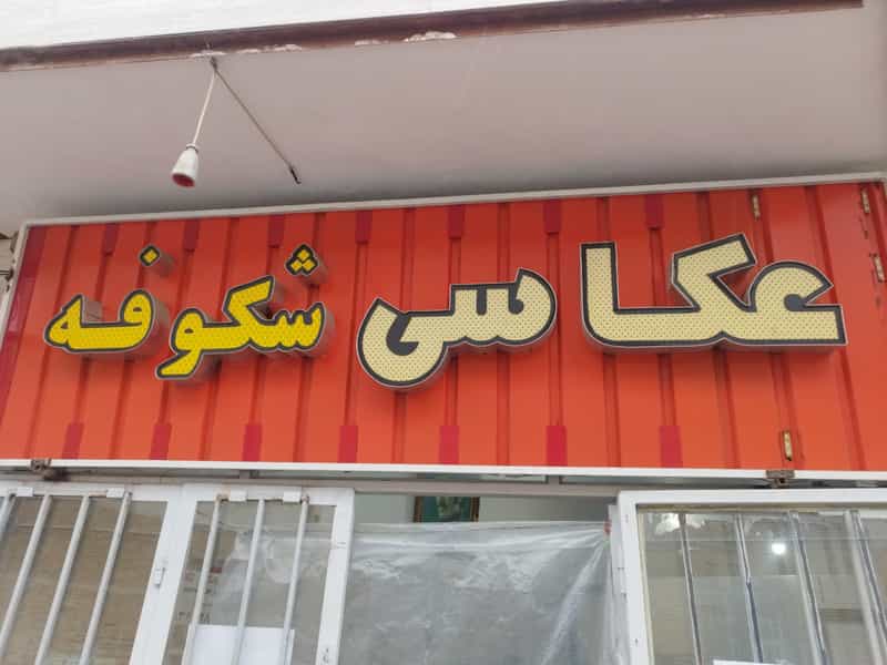 عکس عکاسی شکوفه شهرک طباطبایی کرمان