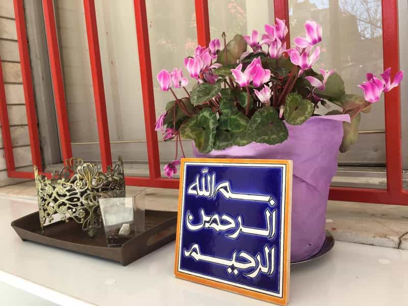 عکس پیش‌دبستانی رُخساره در آبنوس کرمان