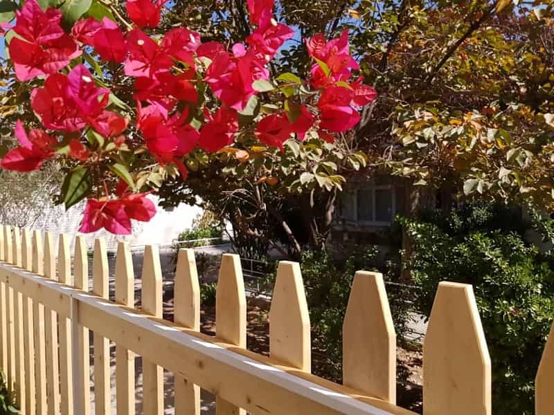 عکس پیش‌دبستانی رُخساره در آبنوس کرمان