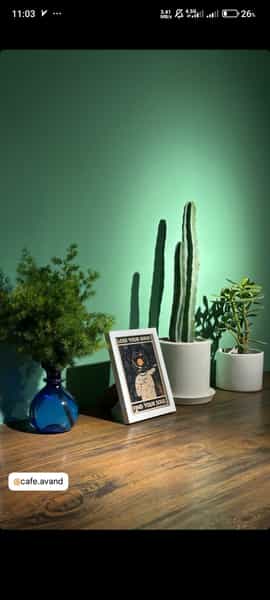 عکس کافه رستوران آوند در پونک قزوین