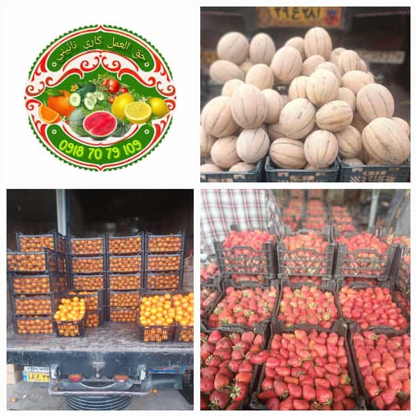عکس بارفروشی و حق العمل کاری نائینی در قلعه بنه بازار همدان