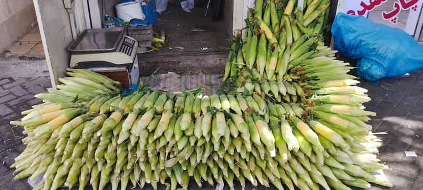 عکس تره بار کرمی در بازار همدان