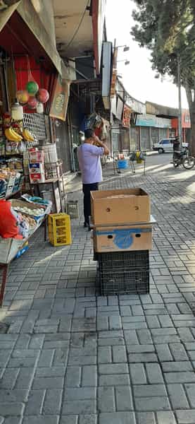 عکس سوپر مارکت شبانه روزی در افسران گرگان