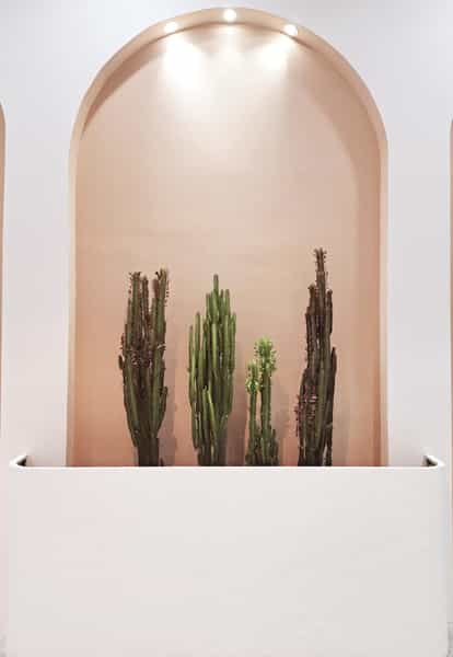 عکس کافه رستوران وانو در گلدیس خرم‌آباد