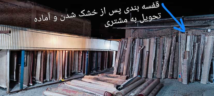 عکس قالیشویی گل ابریشم خرم آباد در گلدشت شرقی خرم‌آباد