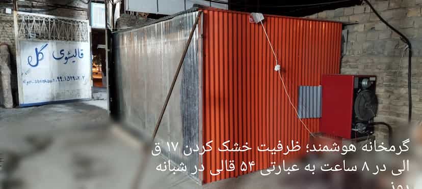 عکس قالیشویی گل ابریشم خرم آباد در گلدشت شرقی خرم‌آباد