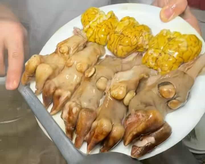 عکس طباخی مجید