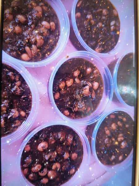 عکس تهیه غذا ایلیا در زیباشهر بندرعباس