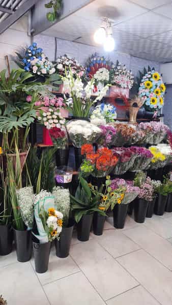 عکس گل فروشی نیلوفر آبی در بازار باش ارومیه