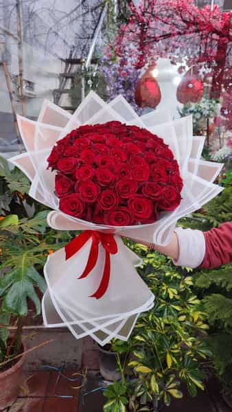 عکس گل فروشی نیلوفر آبی در بازار باش ارومیه