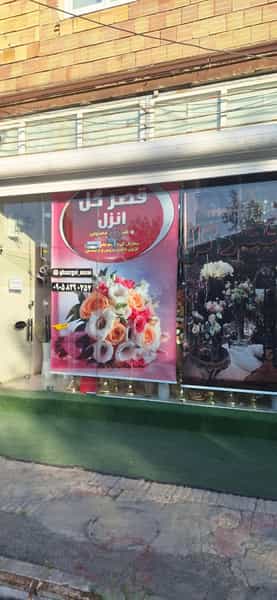 عکس قصرگل انزل در ولی عصر ارومیه