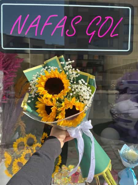 عکس نفس گل در آزادگان ارومیه