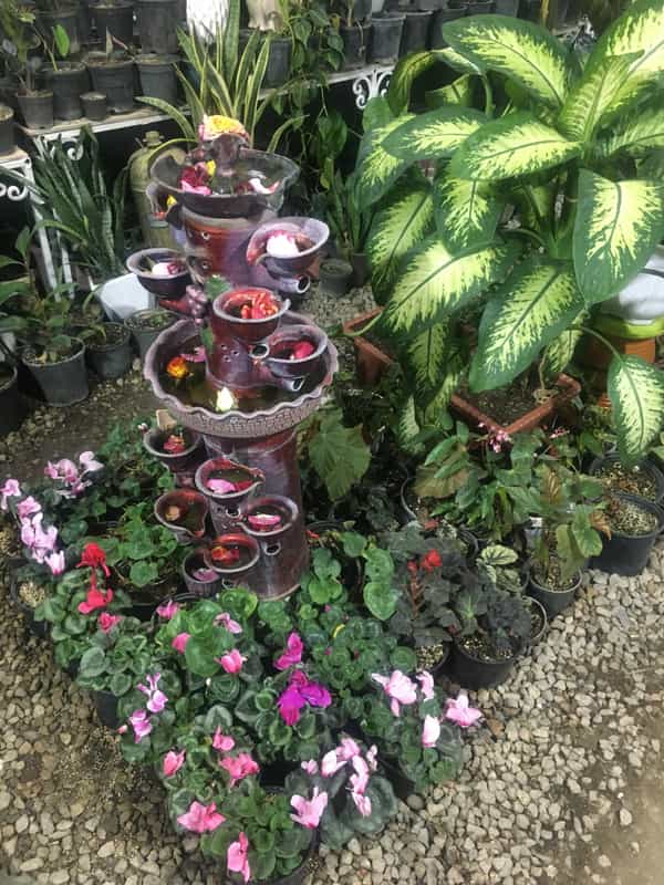 عکس دهکده کاکتوس در امام رضا ارومیه