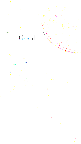 عکس کافه صبحانه حامد در شهر فومن