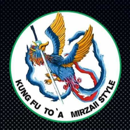 عکس باشگاه کونگ فو توآ سیمرغ