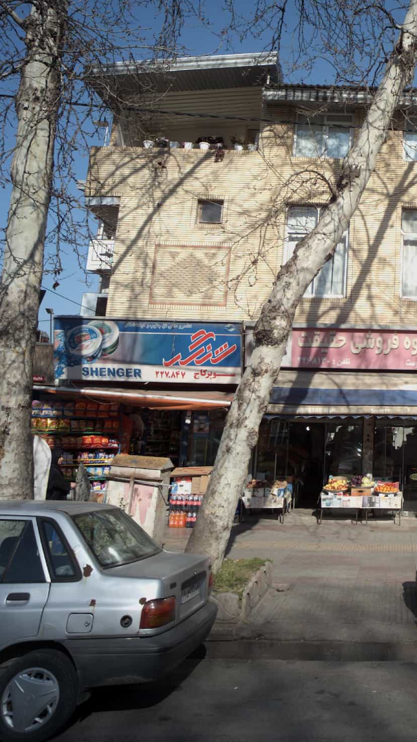 عکس سوپر کاج در گل افشان ساری