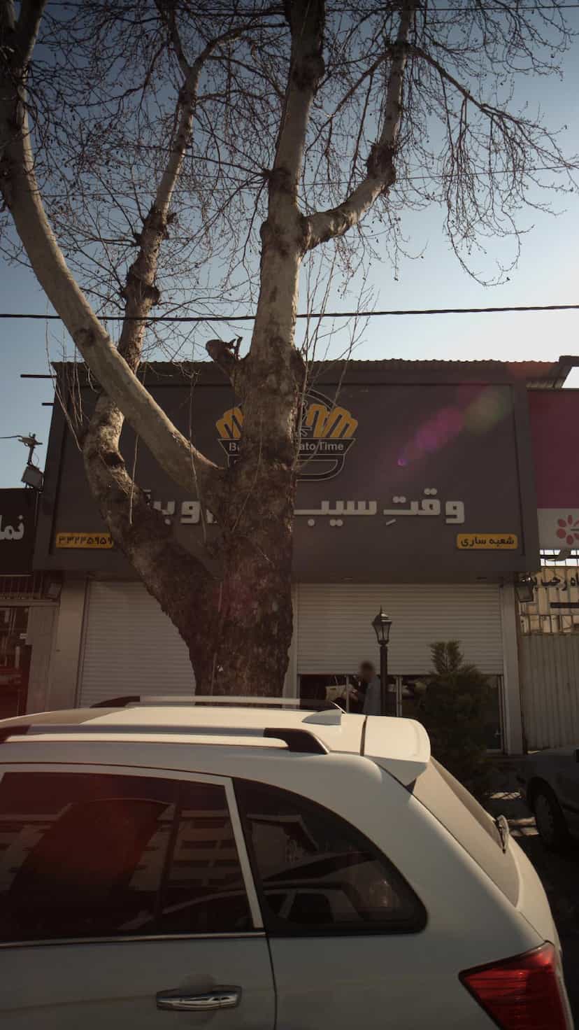 عکس وقت سیب زمینی و برگر در آیت الله طالقانی ساری