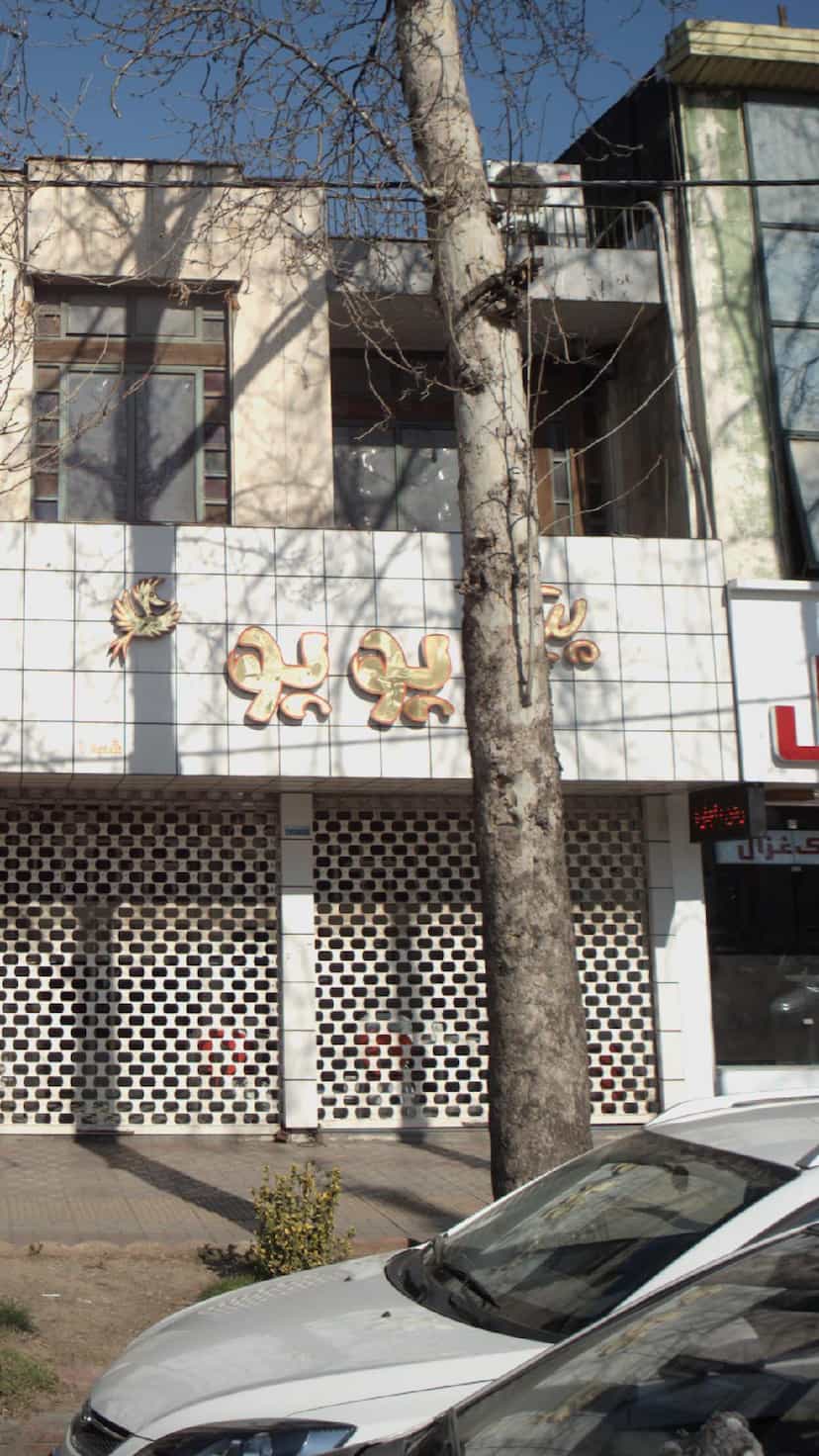 عکس پیتزا یویو در گل افشان ساری