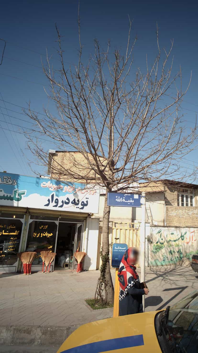 عکس بورس برنج و حبوبات تویه دروار در طبرسی ساری