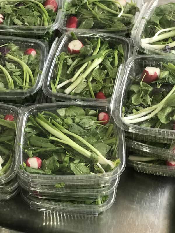 عکس غذاي خانگي وکیلی کوی برق ساری