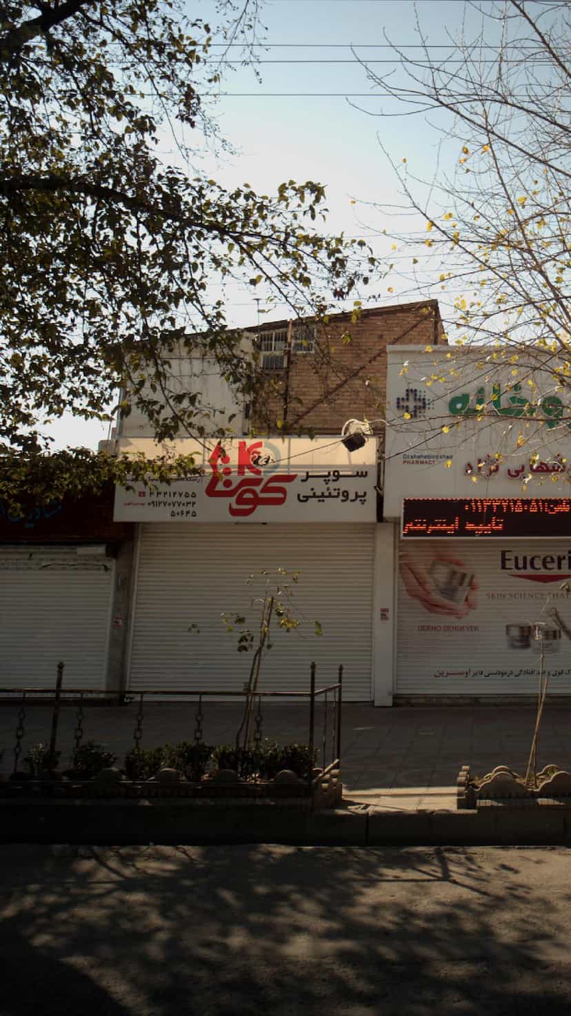 عکس سوپر پروتئینی کوی برق ساری