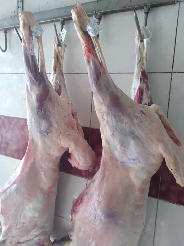 عکس سوپر گوشت و مرغ رکابی در خوی آباد ساری