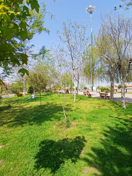 عکس بوستان ملل ساری در تجن ساری