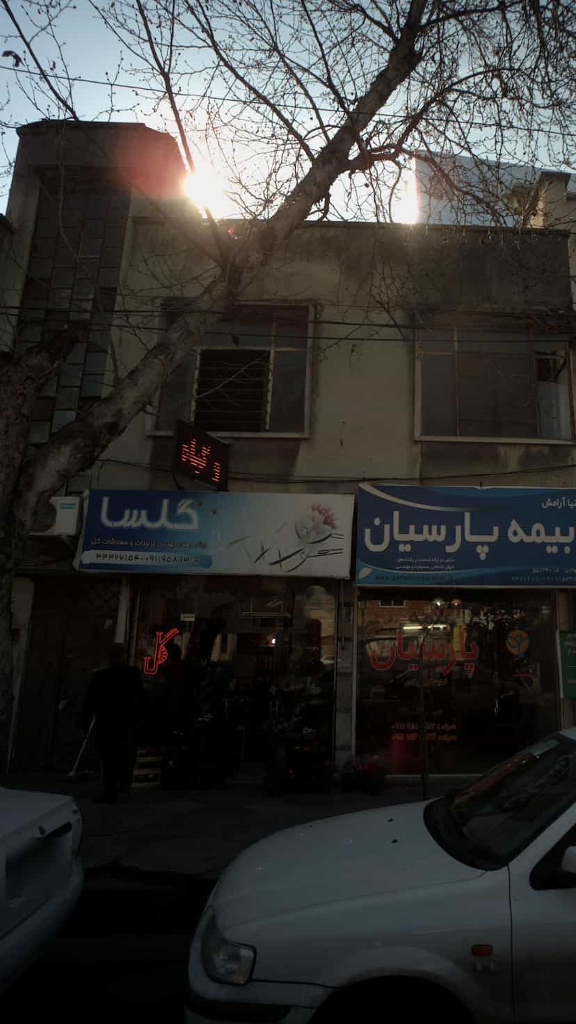 عکس گلسا در طبرسی ساری