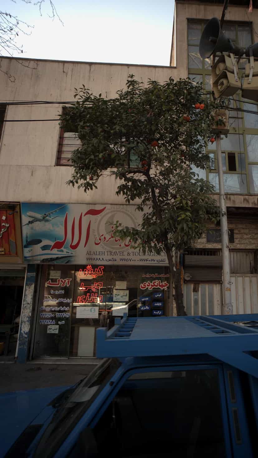 عکس خدمات مسافرت هوایی و جهانگردی آلاله در طبرسی ساری