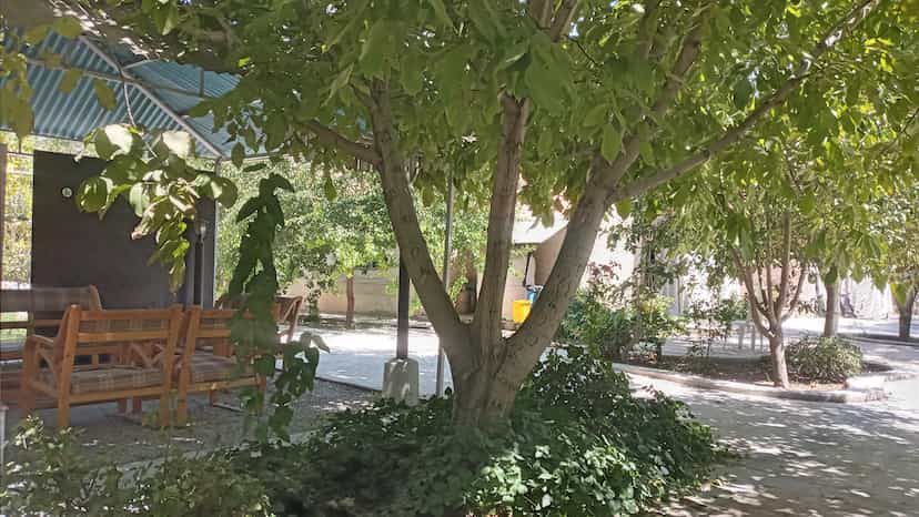 عکس باغ رستوران گل در مراد اباد کرمانشاه