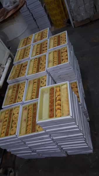 عکس نان برنجی پزی کلهر در کسری کرمانشاه