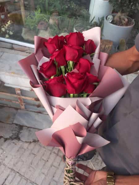 عکس گلکده ترگل در گلستان کرمانشاه