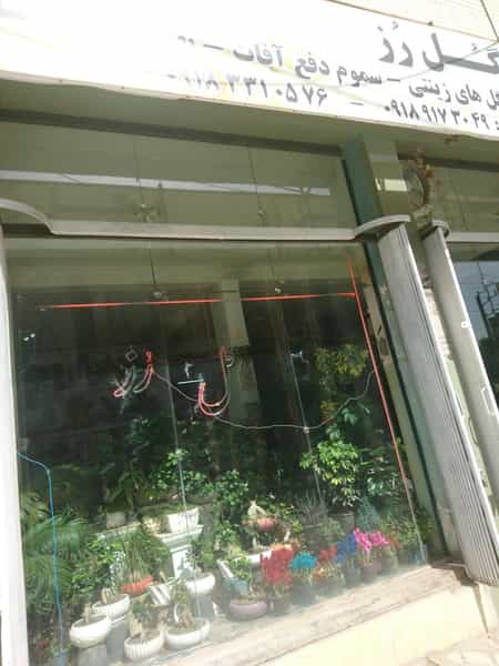 عکس گل فروشی رز در عباسیه کرمانشاه