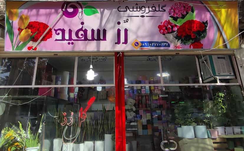 عکس گلفروشی رز سفید در گلستان کرمانشاه