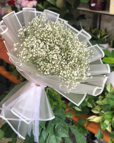 عکس گل فروشی کنتیا شهرک تعاون کرمانشاه