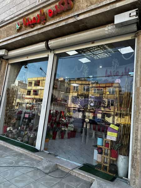 عکس گلکده پارمیدا در مسکن کرمانشاه