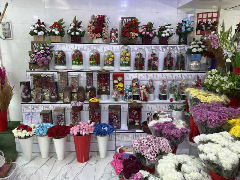 عکس گلکده پارمیدا در مسکن کرمانشاه