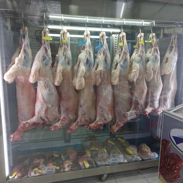 عکس سوپر پروتئین و گوشت زارعی کوی کارمندان کرمانشاه